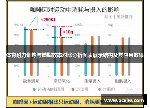 体育耐力训练与燃脂效率对比分析图表展示结构及其应用效果